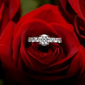 Meet your Posher, Alicia